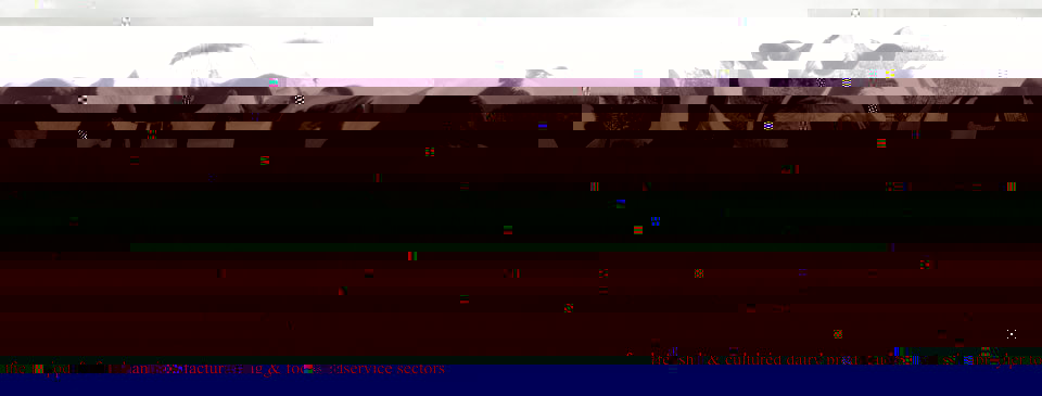 Placeholder Picture